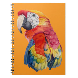 Caderno Espiral Ilustração em Aquarela de Papagaio Colorido