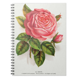 Caderno Espiral Ilustração Floral Rosa Antiga Cottagecore