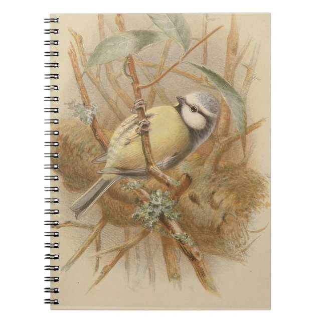 Caderno Espiral Ilustração Vintage de Bluetit (Frente)