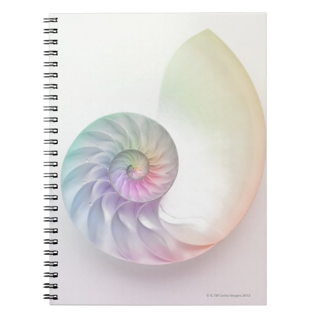 Caderno Espiral Imagem náutil colorida artística (Frente)