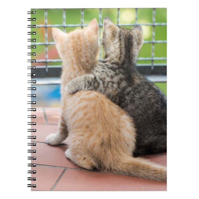 Caderno Espiral Imagens de Getty | dois gatinhos em um balcão (Frente)