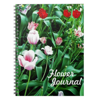 Caderno Espiral Imagens de Tulipas Vermelhas e Rosa