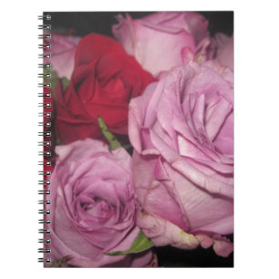 CADERNO ESPIRAL IMG_0032.JPG