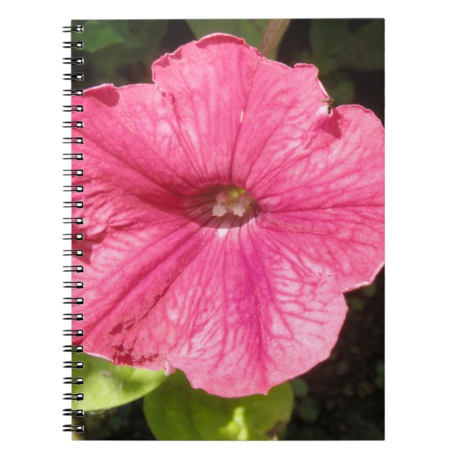 Caderno Espiral Impatiens Notebook Rosa Escuro (Frente)