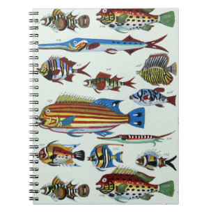 Caderno Espiral Impressão Antiga de História Natural de Peixes Exó