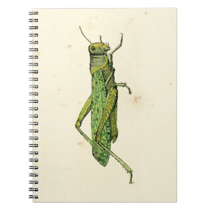Caderno Espiral Impressão de Gafanhoto Verde