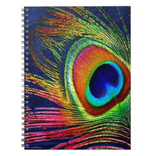 Caderno Espiral Impressão de Pena de Pavão Colorida