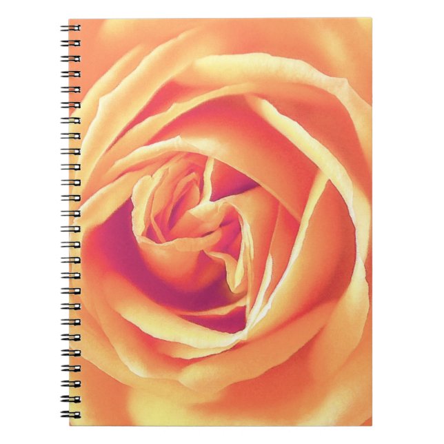Caderno Espiral Impressão de rosa de laranja suave (Frente)