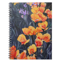 Impressionante Colorido de Campo Poppy