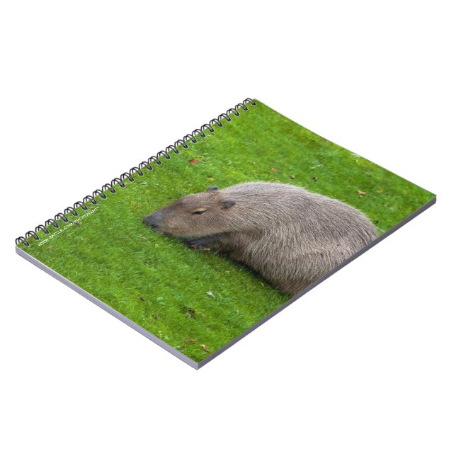 Caderno Espiral Incrível Animal Capivara (Left Side)
