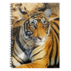 Caderno Espiral Índia, Sawai Madhopur, Ranthambore Nacional