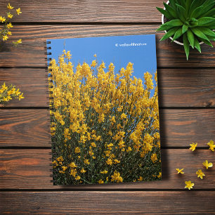 Caderno Espiral Índigo falso amarelo/índigo selvagem/Horseflywee