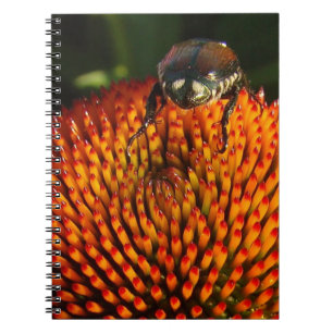 Caderno Espiral Inseto na Flor