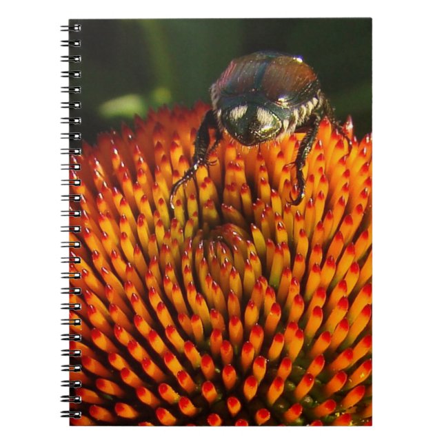 Caderno Espiral Inseto na ventoinha (Frente)