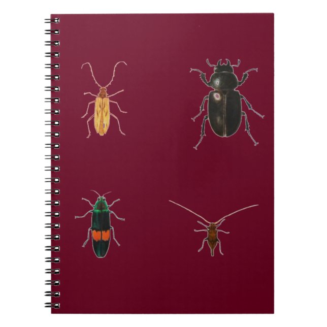 Caderno Espiral Insetos 2011 (Frente)