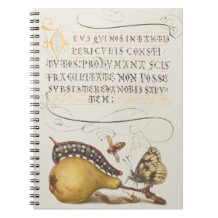 Caderno Espiral Insetos do Jardim, Mosca, Lagarta, Pera, Centopéia