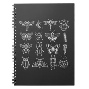 Caderno Espiral Insetos Entomologista Entomologista Inseto Catcher
