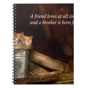 Caderno Espiral Inspiracional - Cat - Balde de diversão
