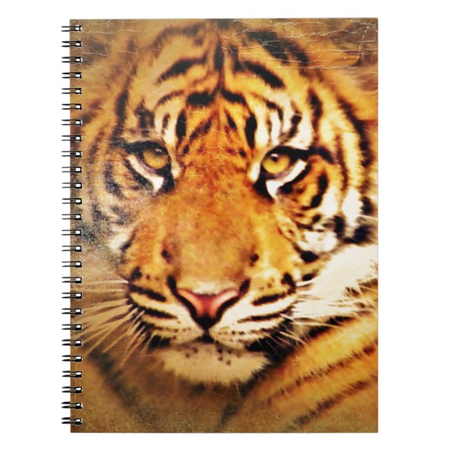 Caderno Espiral Inspire-me_ (Frente)