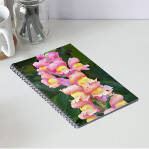 Caderno Espiral Instantâneos cor-de-rosa e amarelos Floral