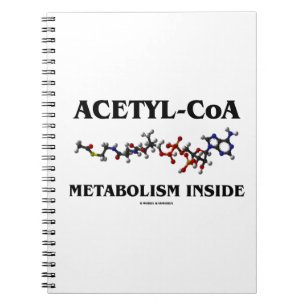 Caderno Espiral Interior do metabolismo Acetil-CoA (molécula