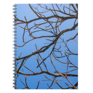 Caderno Espiral Intricate Bare Branches Silhouette Against Vivid B