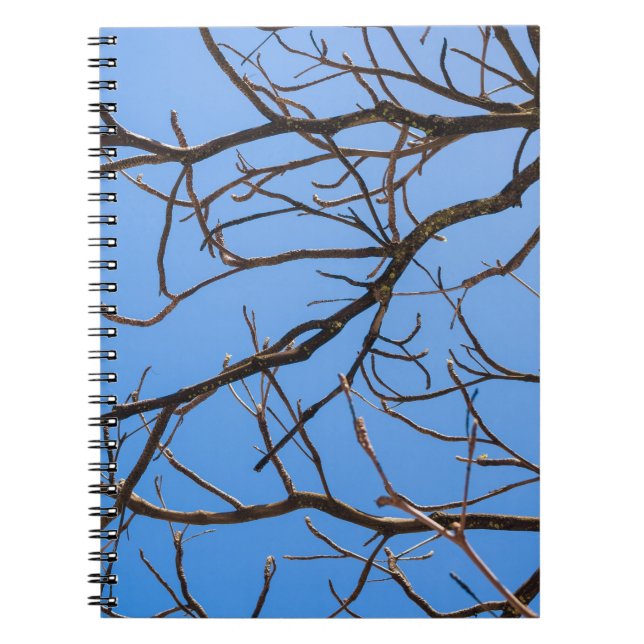 Caderno Espiral Intricate Bare Branches Silhouette Against Vivid B (Frente)