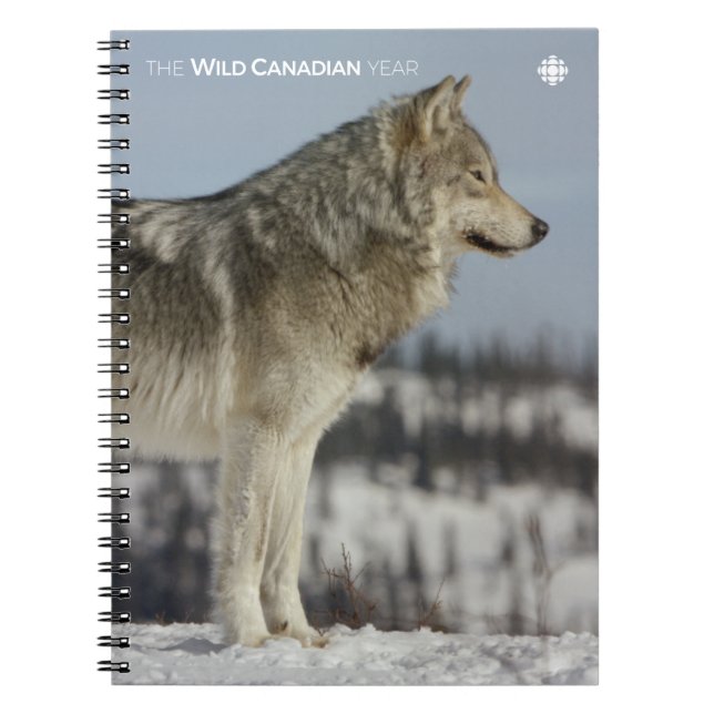 Caderno Espiral Inverno - Lobo (Frente)