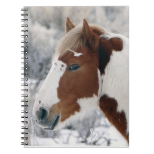 Caderno Espiral Inverno na bacia de lavagem da areia