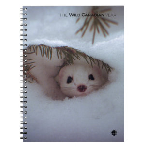 Caderno Espiral Inverno - Weasel De Altura Curta