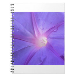 Caderno Espiral ipomée