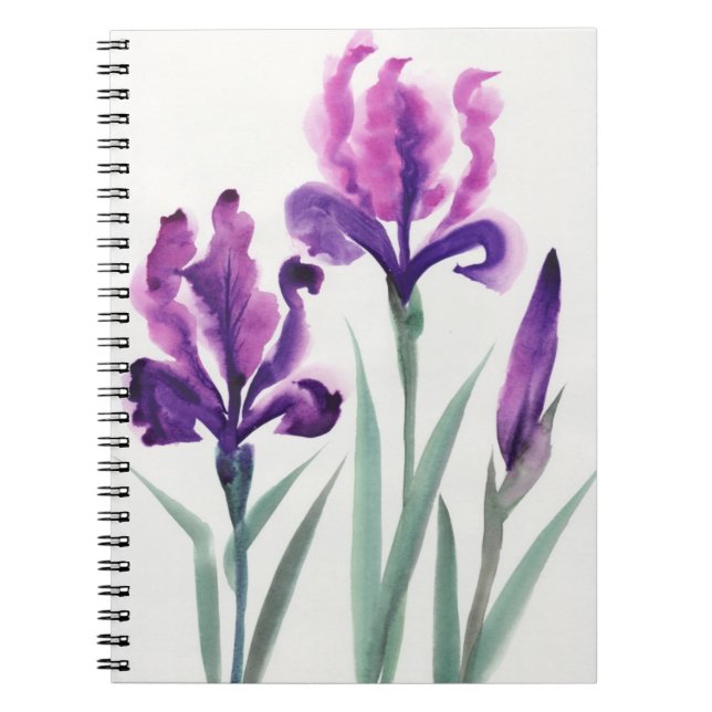 Caderno Espiral Íris (Frente)