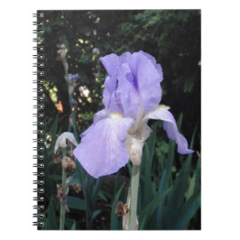 Caderno Espiral Íris Azul