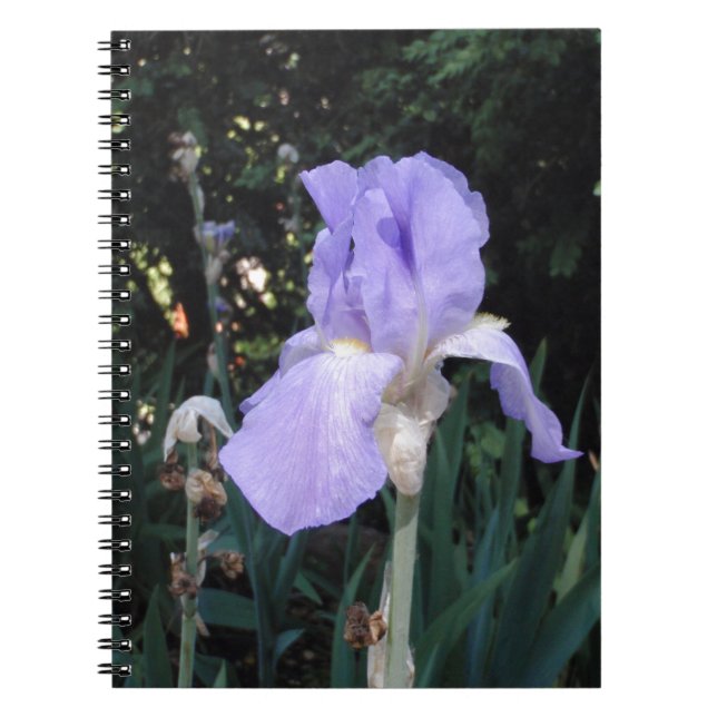 Caderno Espiral Íris Azul (Frente)