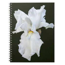 Caderno Espiral Íris Barbuda Branca em Fundo Preto