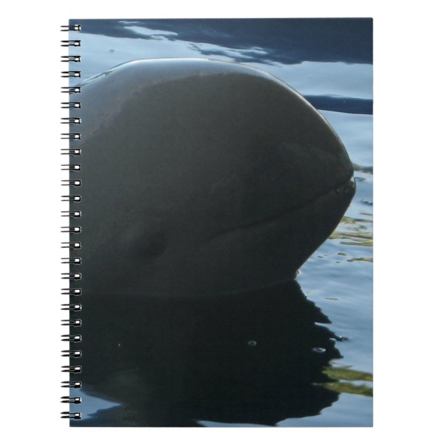 Caderno Espiral Irrawaddy Dolphin Peek-A-Boo (Frente)