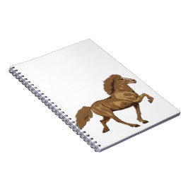 Caderno Espiral Islandês dos anos 1930