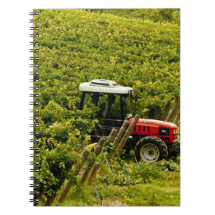 Caderno Espiral Itália, Toscana, Greve. Colhedores trabalhando dur