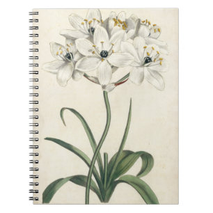 Caderno Espiral Ivory Garden