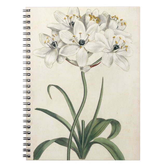 Caderno Espiral Ivory Garden (Frente)