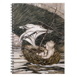 Caderno Espiral J.M. Barrie 'que passou sob a ponte e veio