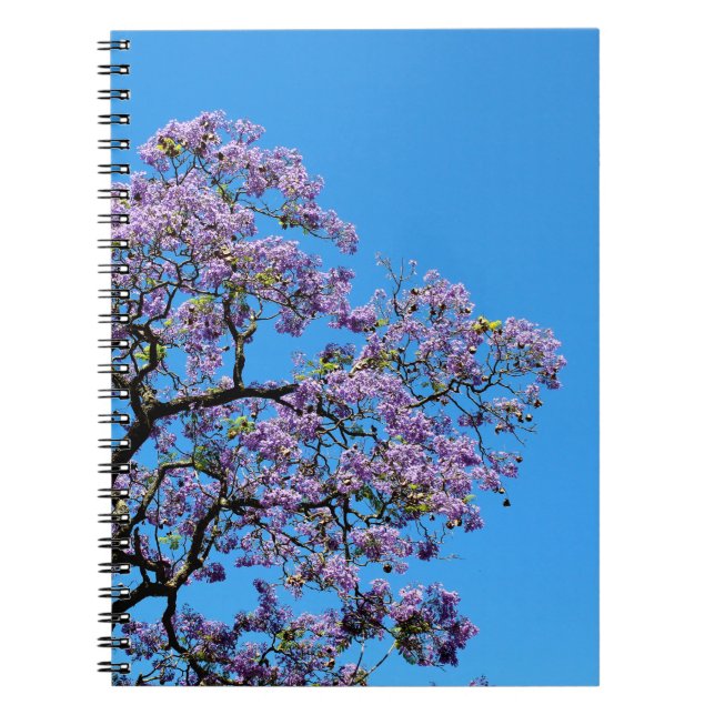 Caderno Espiral Jacaranda (Frente)