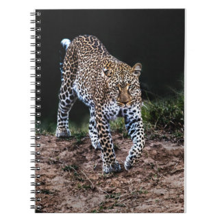 Caderno Espiral Jaguar