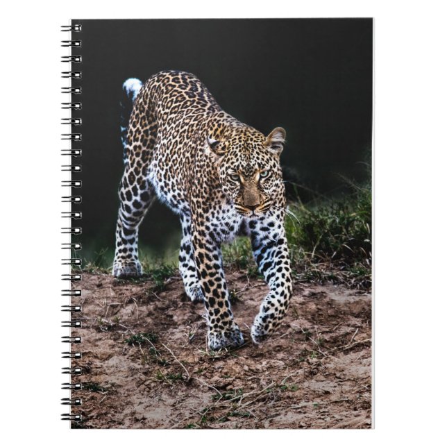Caderno Espiral Jaguar (Frente)