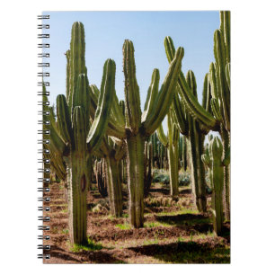 Caderno Espiral Jardim Cactos. Cactos altos verdes e suculentos cr