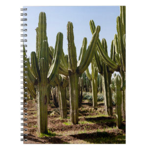 Caderno Espiral Jardim Cactos, paisagem desértica tropical.