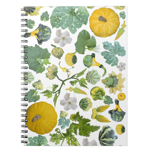 Caderno Espiral Jardim de Abobrinha  (Frente)