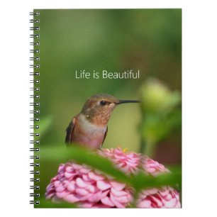 Caderno Espiral Jardim de Flores Zinnia Beija-flor (minha fotograf
