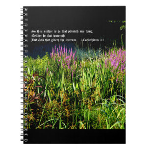 Caderno Espiral Jardim de porco com 1 corintiano 3:7