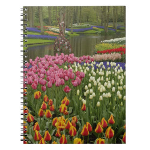 Caderno Espiral Jardim de tulipas e jacintos, Jardins Keukenhof,